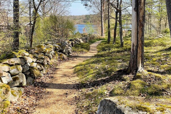 Foto van 5 sterren vakantie huis in Ronneby-By Traum - Vakantiehuis in Ronneby - Outdoor