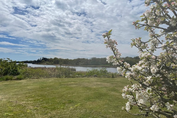 Foto van 4 persoons vakantie huis in Ronneby-By Traum - Vakantiehuis in Ronneby - Outdoor
