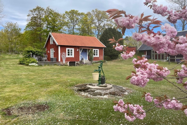 Foto van 4 persoons vakantie huis in Ronneby-By Traum - Vakantiehuis in Ronneby - Outdoor