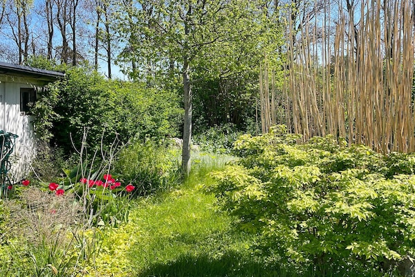 Foto van 7 persoons vakantie huis in Löderup - Vakantiehuis in Löderup - Outdoor