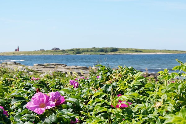 Foto van 4 sterren vakantie huis in Halmstad - Vakantiehuis in Halmstad - WaterView