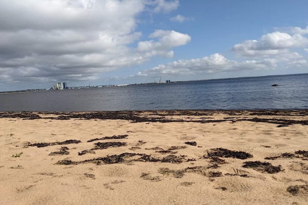 Foto van 4 sterren vakantie huis in Halmstad - Vakantiehuis in Halmstad - WaterView