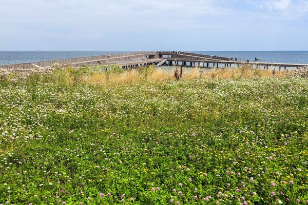 Foto van 6 persoons vakantie huis in Hadsund-By Traum - Vakantiehuis in Hadsund - WaterView