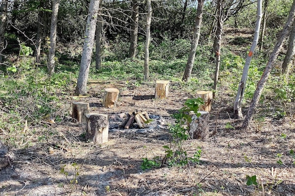 Foto van 5 sterren vakantie huis in Vestervig-By Traum - Vakantiehuis in Vestervig - Outdoor