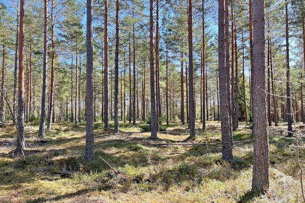 Foto van 7 persoons vakantie huis in JÄRNA - Vakantiehuis in JÄRNA - Outdoor