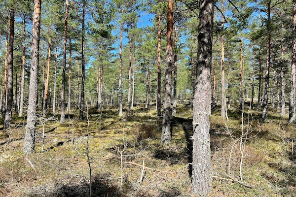Foto van 7 persoons vakantie huis in JÄRNA - Vakantiehuis in JÄRNA - Outdoor