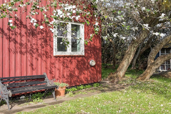 Foto van Strandparadijs -- By Traum Ferienwohnungen - Vakantiehuis in Store Fuglede - View