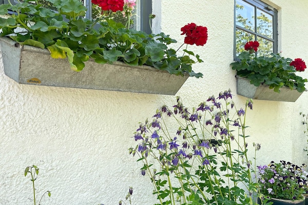 Foto van 6 persoons vakantie huis in KATTARP - Vakantiehuis in KATTARP - Outdoor