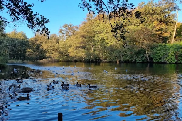Foto van 6 persoons vakantie huis in Brenderup Fyn-By Traum - WaterView