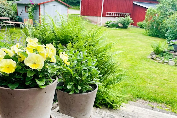 Foto van 4 persoons vakantie huis in STILLINGSÖN - Vakantiehuis in STILLINGSÖN - Outdoor