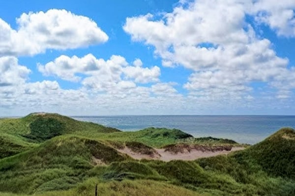 Foto van 4 sterren vakantie huis in Ulfborg - Vakantiehuis in Ulfborg - View
