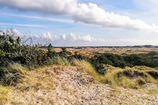 Foto van 4 sterren vakantie huis in Ulfborg - Vakantiehuis in Ulfborg - View