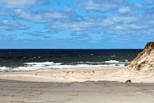 Foto van Luxe vakantieverblijf met zwembad - Vakantiehuis in Ulfborg - View