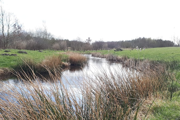Foto van Luxe bos retraite -- By Traum Ferienwohnungen - Vakantiehuis in Karup J - WaterView