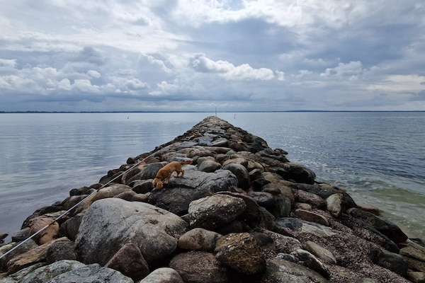 Foto van 4 sterren vakantie huis in Øster Assels-By Traum - Vakantiehuis in Øster Assels - WaterView