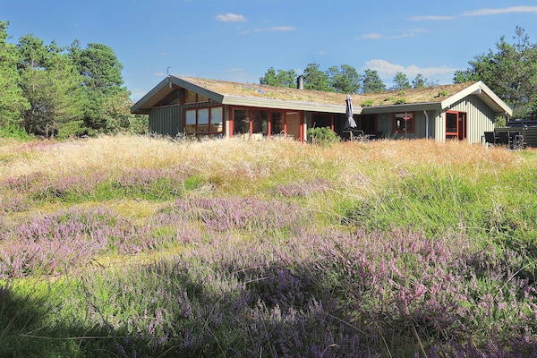 Foto van 6 persoons vakantie huis in Blokhus-By Traum - Vakantiehuis in Blokhus - View