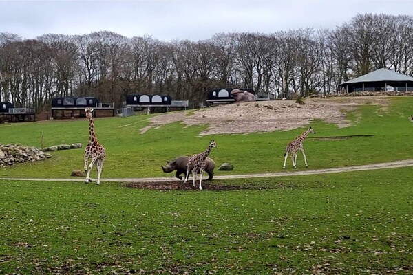 Foto van 7 Personen vakantie huis in Ebeltoft-By Traum - Vakantiehuis in Ebeltoft - View