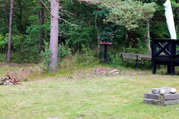 Foto van 6 persoons vakantie huis in Hadsund-By Traum - Vakantiehuis in Hadsund - Outdoor