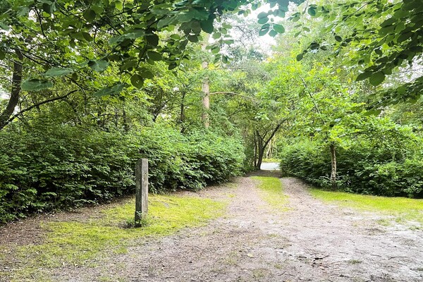 Foto van 6 Personen vakantie huis in Nibe - Vakantiehuis in Nibe - Outdoor