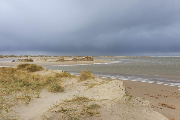 Foto van Luxe retraite in Romo -- By Traum Ferienwohnungen - Vakantiehuis in Rømø - Untagged
