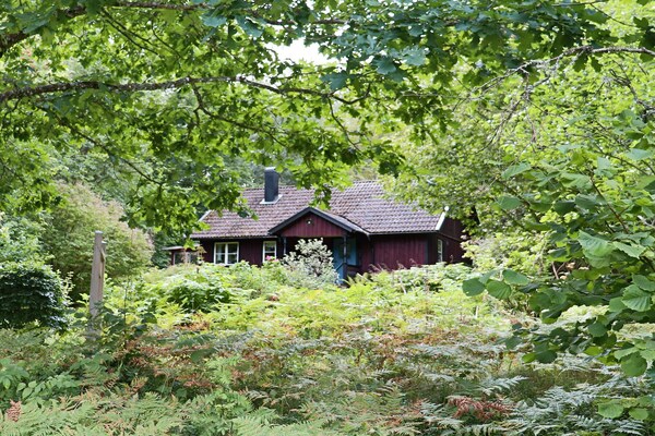 Foto van 4 sterren vakantie huis in KALV - Vakantiehuis in KALV - Outdoor