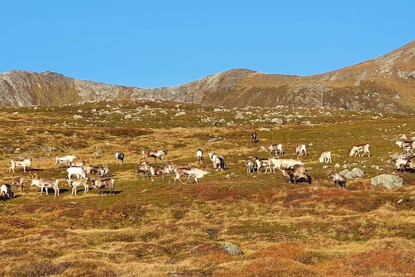 Foto van 6 Personen vakantie huis in Rebbenes - Vakantiehuis in Rebbenes - Outdoor
