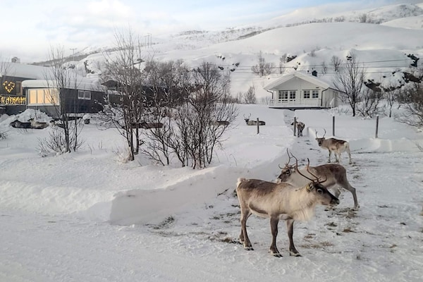 Foto van 6 Personen vakantie huis in Rebbenes - Vakantiehuis in Rebbenes - Outdoor