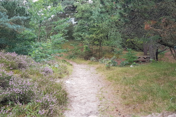 Foto van 5 sterren vakantie huis in Rømø - Vakantiehuis in Rømø - Outdoor