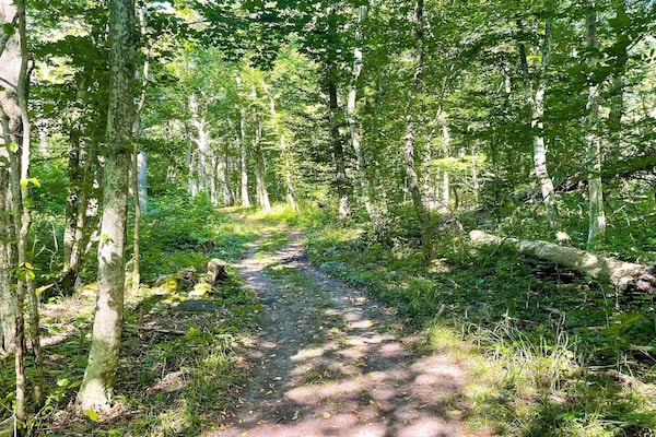 Foto van 6 Personen vakantie huis in BORGHOLM - Vakantiehuis in Borgholm - Untagged