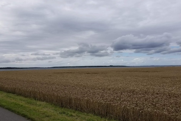 Foto van 5 sterren vakantie huis in Væggerløse - Vakantiehuis in Væggerløse - Untagged