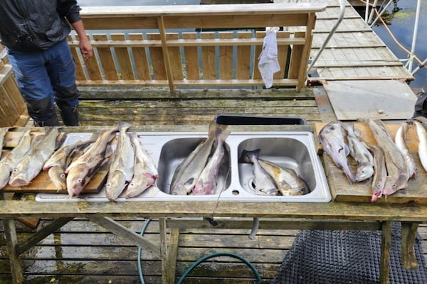 Foto van 4 sterren vakantie huis in Naustbukta - Vakantiehuis in Naustbukta - Untagged