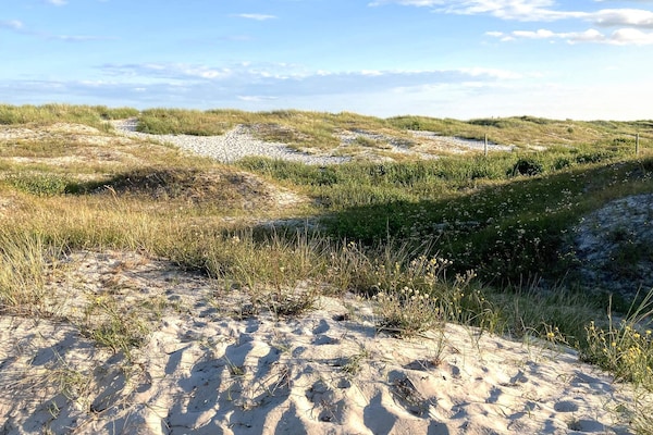 Foto van 5 sterren vakantie huis in SIMRISHAMN - Vakantiehuis in SIMRISHAMN - Untagged