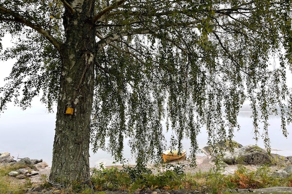 Foto van 4 sterren vakantie huis in Åmål - Vakantiehuis in Åmål - WaterView