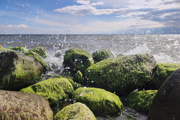 Foto van Rustige oase vlakbij het strand - Vakantiehuis in Rødby - WaterView