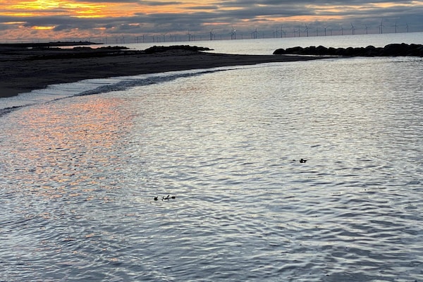 Foto van Rustige oase vlakbij het strand - Vakantiehuis in Rødby - WaterView
