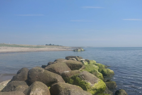 Foto van Rustige oase vlakbij het strand - Vakantiehuis in Rødby - WaterView