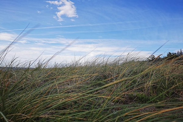 Foto van Rustige oase vlakbij het strand - Vakantiehuis in Rødby - Untagged