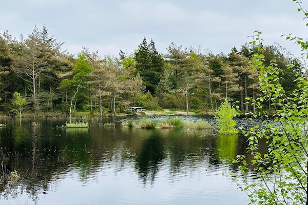 Foto van 5 sterren vakantie huis in Rømø - Vakantiehuis in Rømø - Untagged
