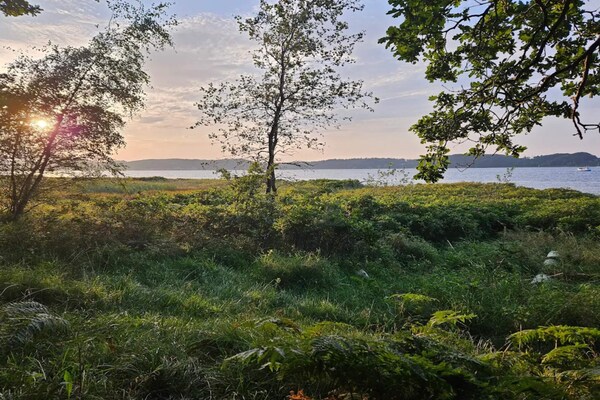Foto van 6 persoons vakantieparkhuis in Middelfart - Vakantiehuis in Middelfart - WaterView