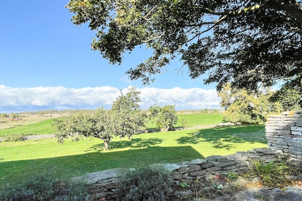 Foto van 4 sterren vakantie huis in MÖRBYLÅNGA - Vakantiehuis in MÖRBYLÅNGA - Outdoor