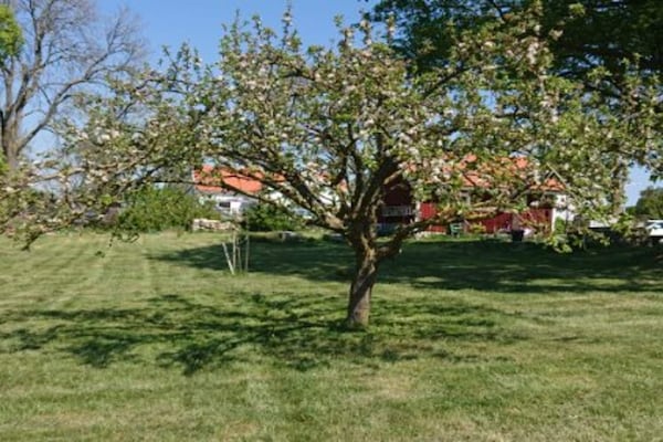 Foto van 4 sterren vakantie huis in MÖRBYLÅNGA - Vakantiehuis in MÖRBYLÅNGA - Outdoor