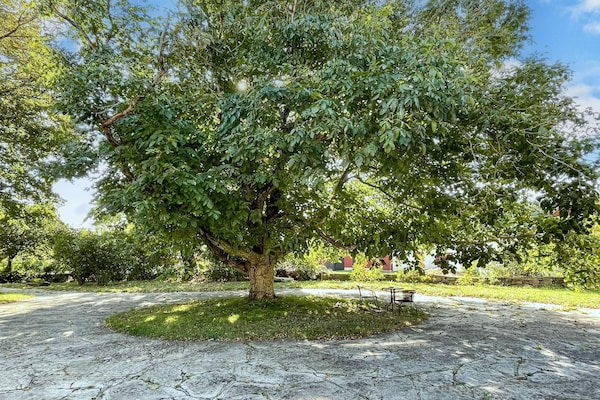Foto van 4 sterren vakantie huis in MÖRBYLÅNGA - Vakantiehuis in MÖRBYLÅNGA - Outdoor