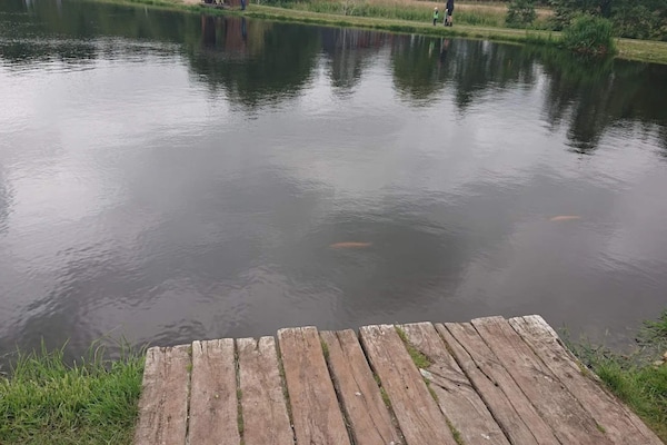 Foto van Charmant toevluchtsoord in Sydjylland - Vakantiehuis in Hovborg - WaterView