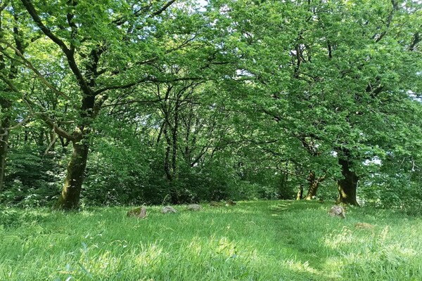 Foto van Charmant toevluchtsoord in Sydjylland - Vakantiehuis in Hovborg - Untagged
