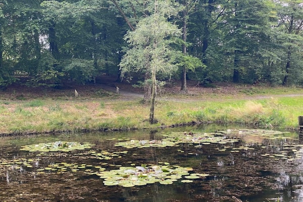 Foto van Charmant toevluchtsoord in Sydjylland - Vakantiehuis in Hovborg - WaterView