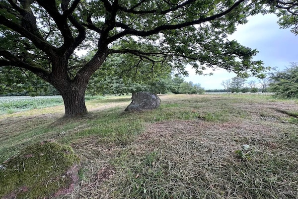 Foto van Charmant toevluchtsoord in Sydjylland - Vakantiehuis in Hovborg - Untagged