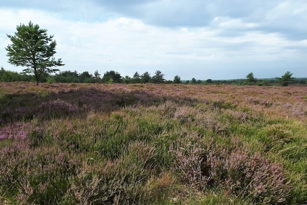 Foto van Charmant toevluchtsoord in Sydjylland - Vakantiehuis in Hovborg - Untagged