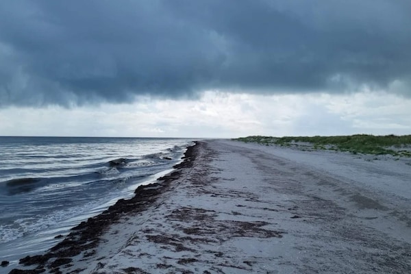 Foto van 5 sterren vakantie huis in Læsø - Vakantiehuis in Læsø - WaterView