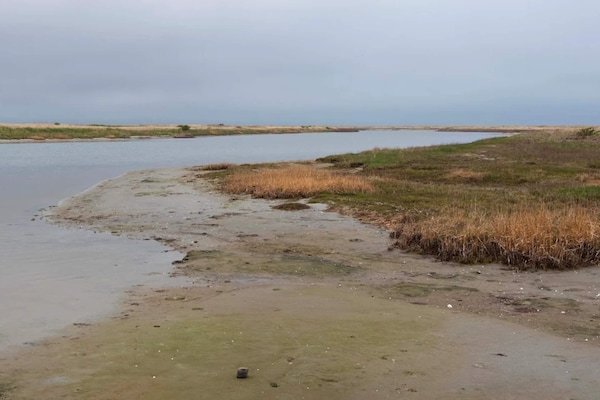 Foto van 5 sterren vakantie huis in Læsø - Vakantiehuis in Læsø - WaterView
