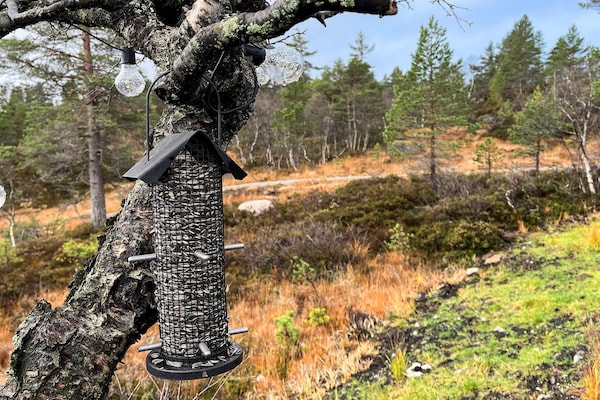 Foto van 6 Personen vakantie huis in Tjørhom - Vakantiehuis in Tjørhom - Outdoor